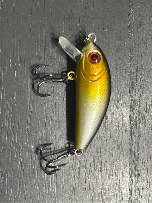 Fishing Lure 21