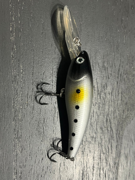 Fishing Lure 11