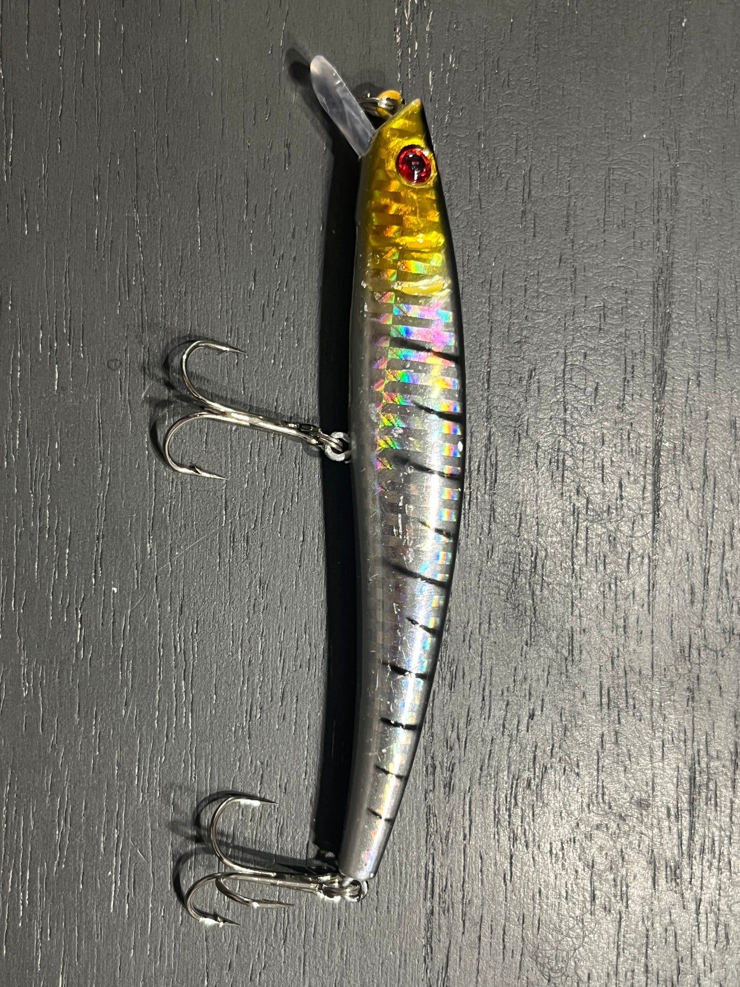 Fishing Lure 19